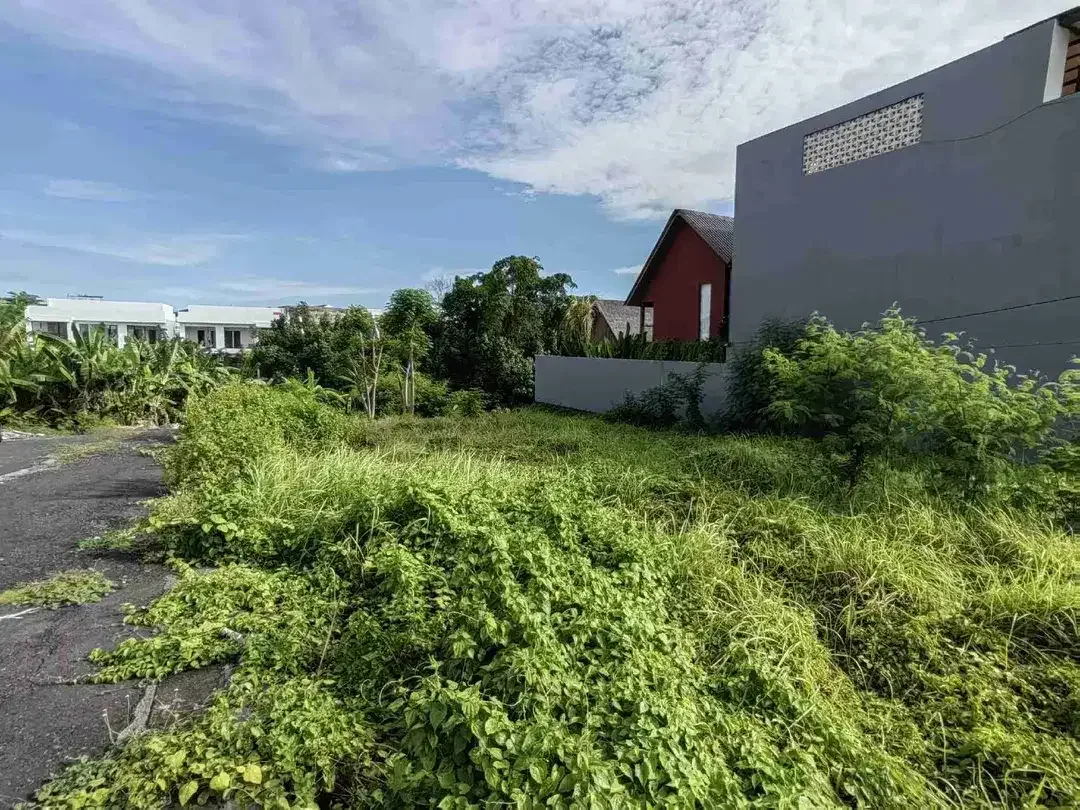 Tanah Premium Jl Ambengan Shortcut Canggu - Image 2 of 10