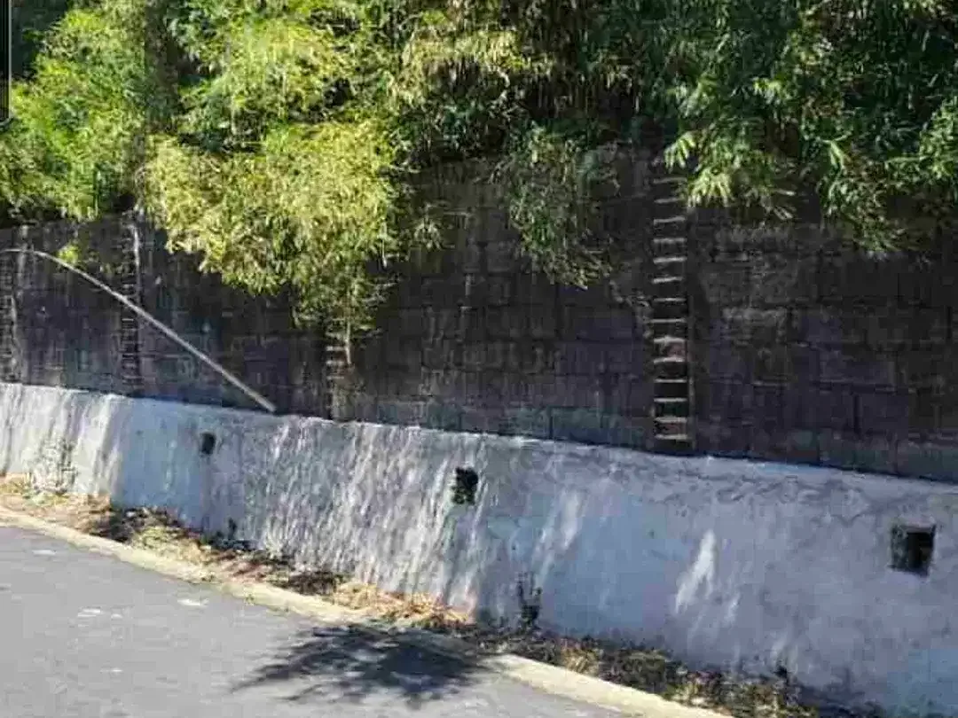 Dijual Tanah 47a di Jln induk Tiying Tutul Pererenan Canggu Bali - Image 5 of 6