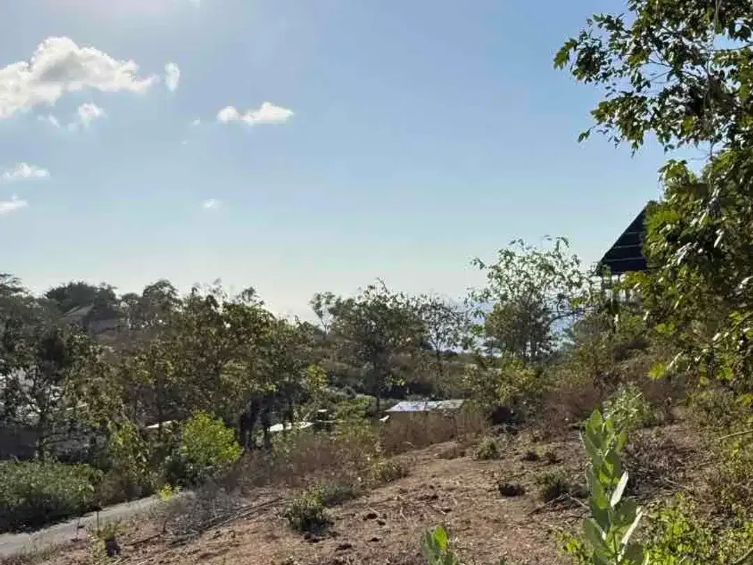 DIJUAL TANAH OCEAN VIEW PANTAI CEMONGKAK – PECATU, BALI - Image 5 of 10