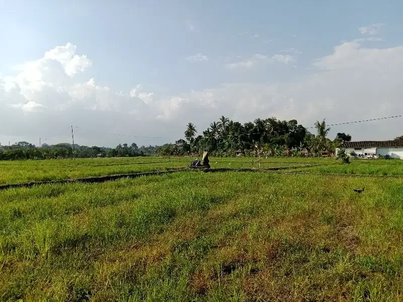 DIJUAL TANAH COCOK UNTUK GUDANG DAN USAHA - Image 7 of 9