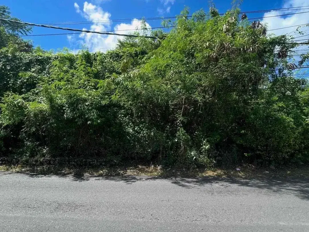 Dijual lahan eksklusif di jalan utama Karang Mas Jimbaran - Image 4 of 7