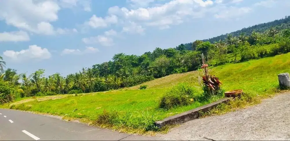 TANAH STRATEGIS VIEW SAWAH TABANAN - Image 7 of 10