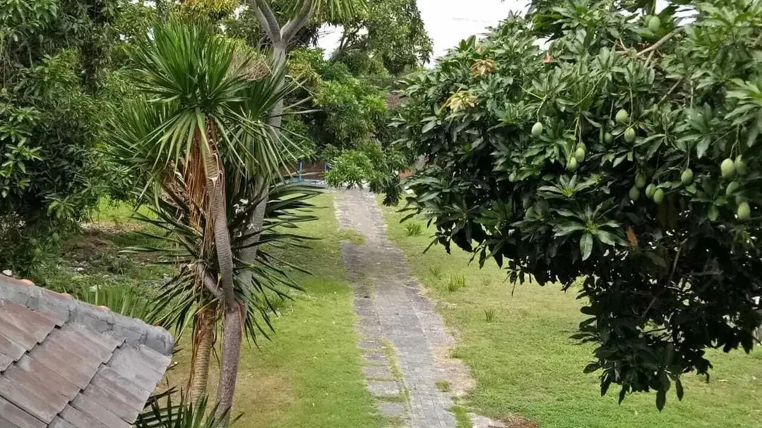 Dijual Tanah Strategis di Batu Belig–Lokasi Premium di Tengah Seminyak - Image 6 of 7