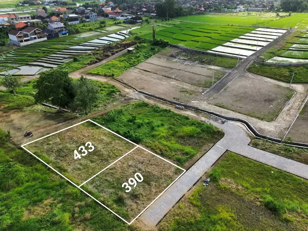 KEDUNGU LAND FOR SALE NEAR NUANU LUNA BEACH CLUB - Image 8 of 10