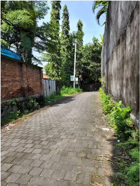 Tanah Murah 12 Are di Berawa Canggu - Image 2 of 9