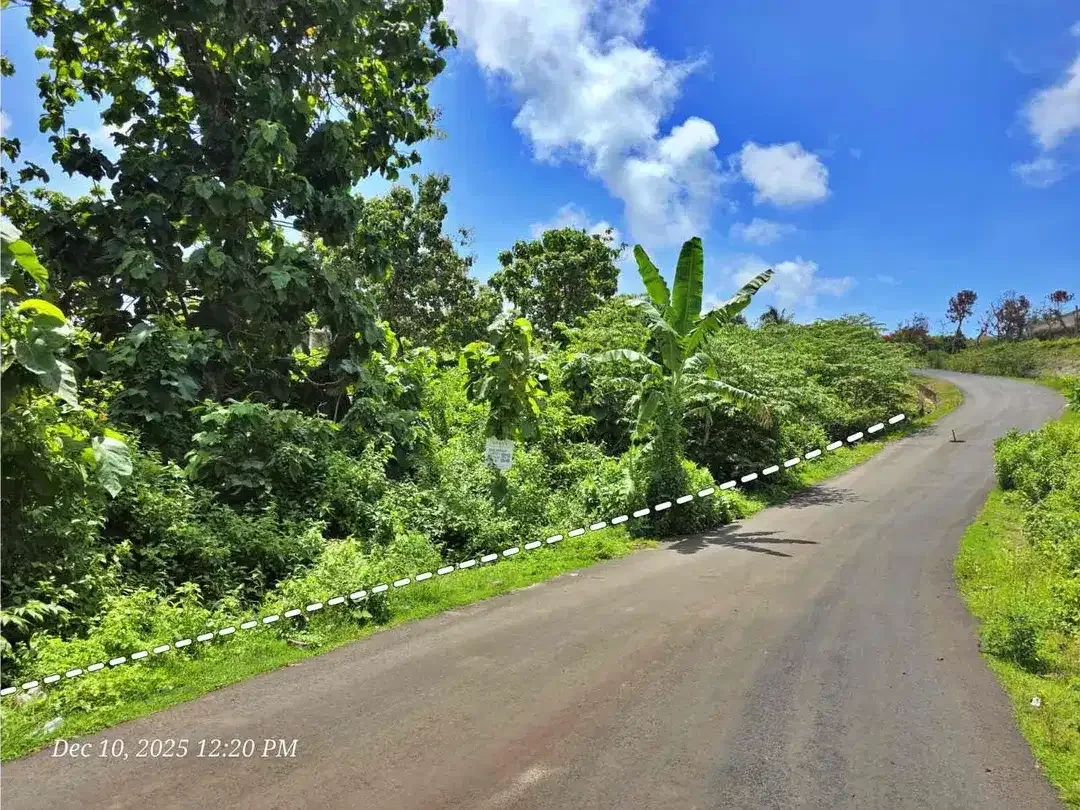 OCEAN VIEW LAND JUST 200METERS TO BINGIN  BEACH ULUWATU - Image 8 of 8