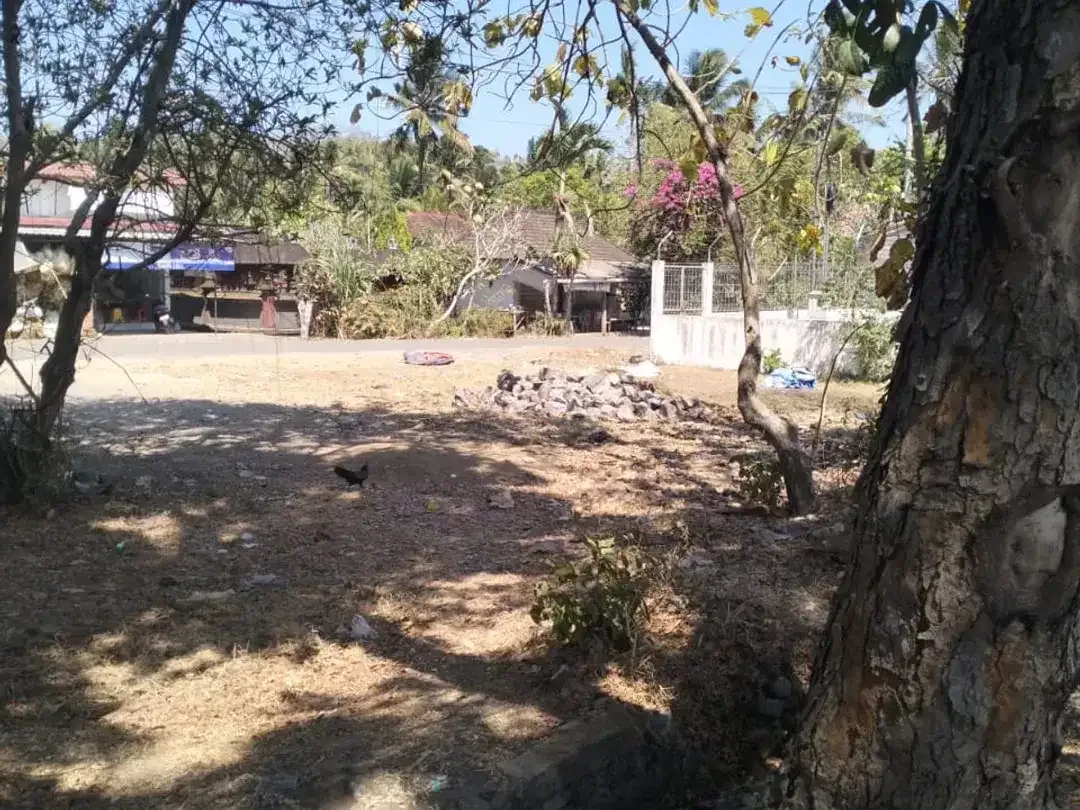 DIJUAL TANAH STRATEGIS – PAKUTATAN, JEMBRANA - Image 4 of 4