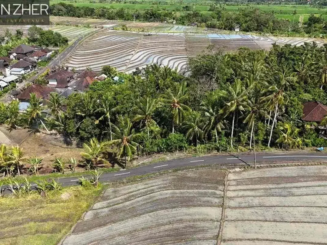 Tanah murah jarang ada view sawah cocok untuk homestay,villa karena dekat pantai di beraban tabanan - Image 7 of 10