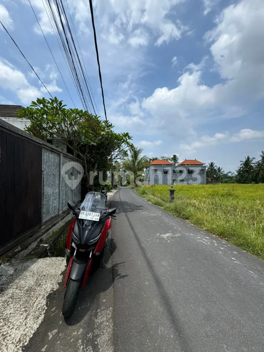 Dijual Murah Vila View Sawah Timur Ubud Lingkungan Pedesaan Alami - Image 4 of 4