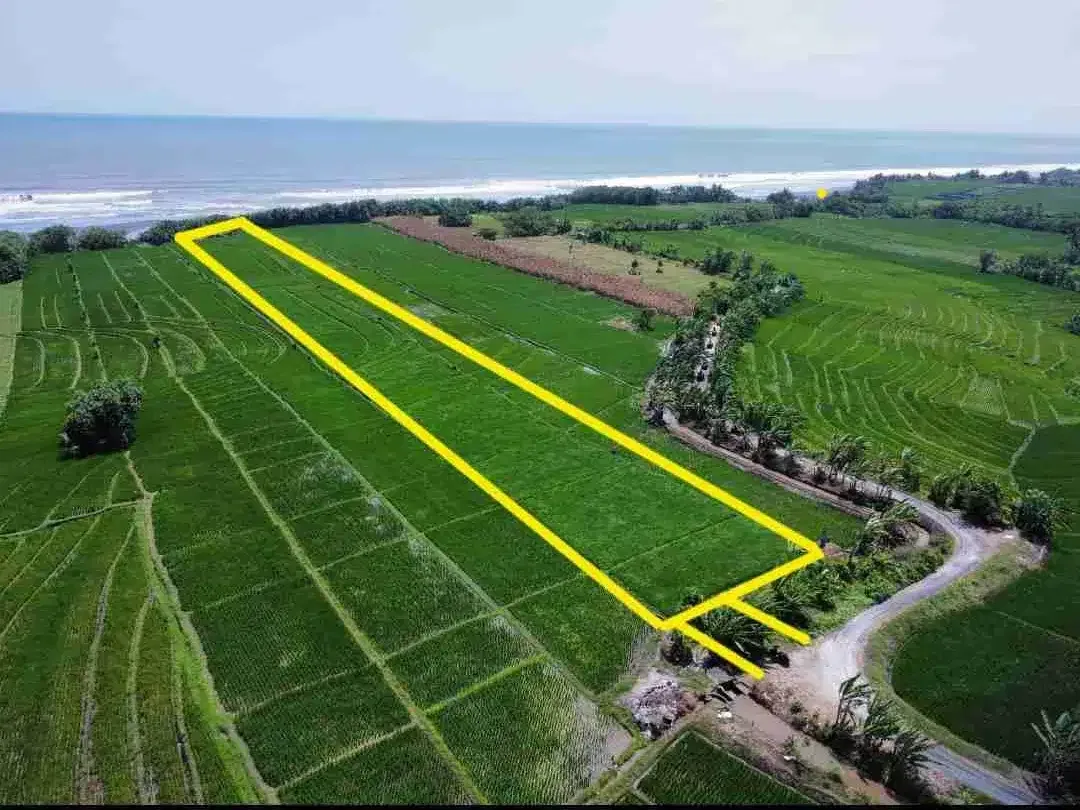 Tanah Komersial Los Pantai Pasut Tabanan Zona Wisata - Image 1 of 10