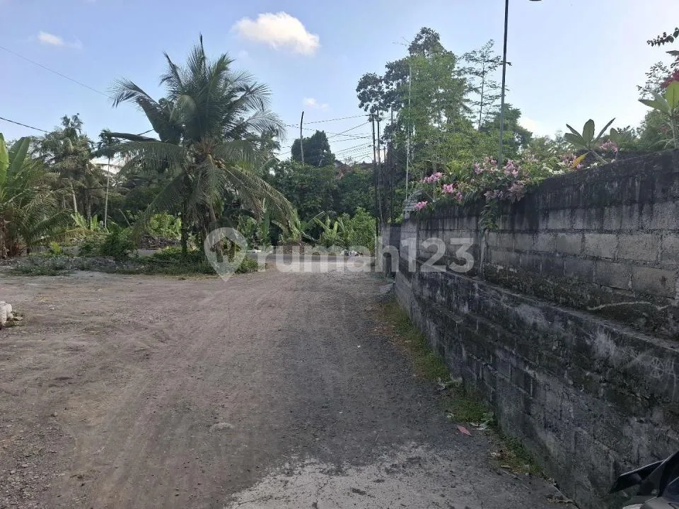 Rumah Besar Unfurnished di Mengwi Cocok Buat Keluarga Besar - Image 2 of 4