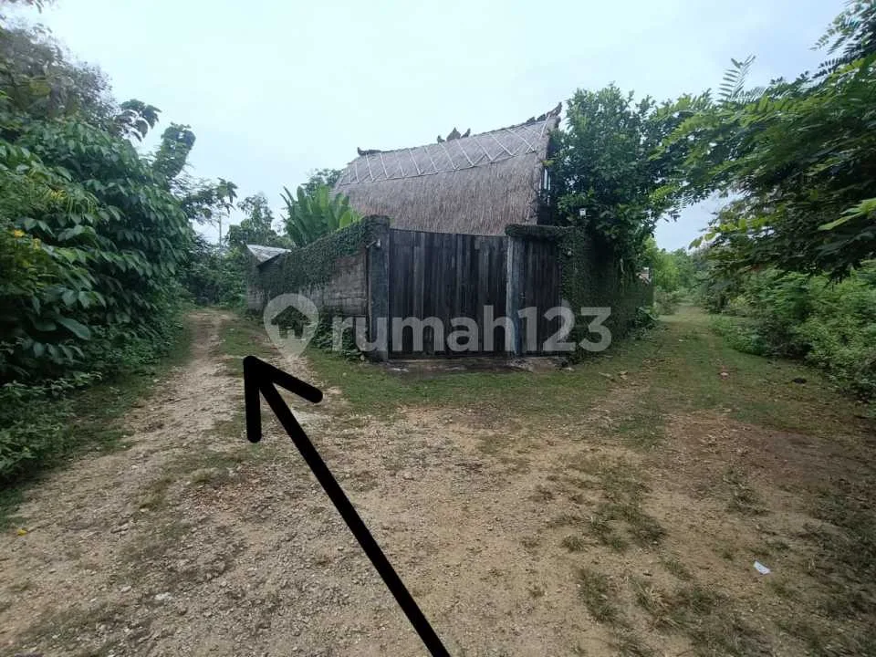 Lahan Jimbaran Raffles Dekat Damara Yellow Zone SHM Buc - Image 4 of 4
