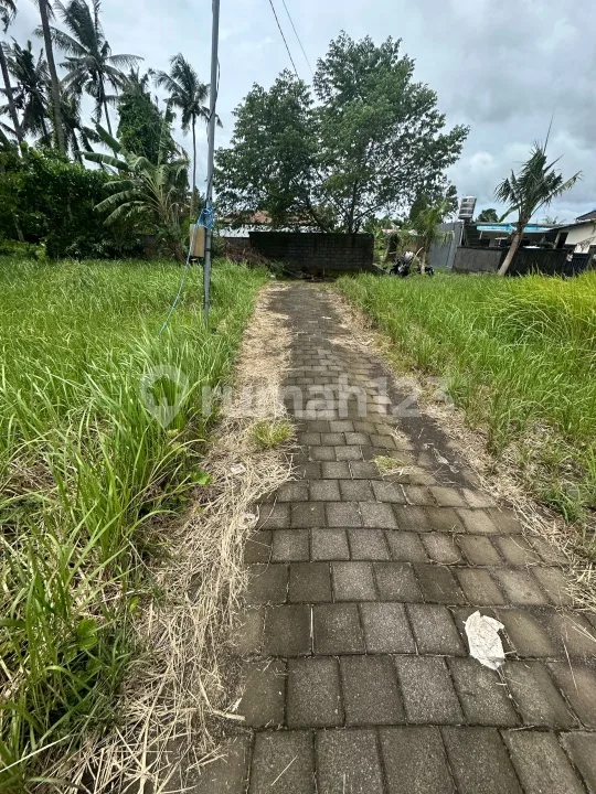 Tanah Siap Bangun Zona Kuning Lodtunduh Ubud - Image 2 of 4