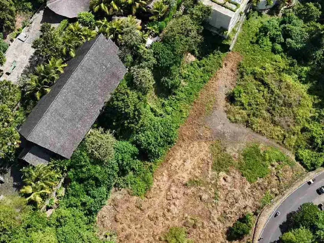 DIJUAL TANAH KAVLING SINGAPADU GIANYAR BALI - Image 4 of 9