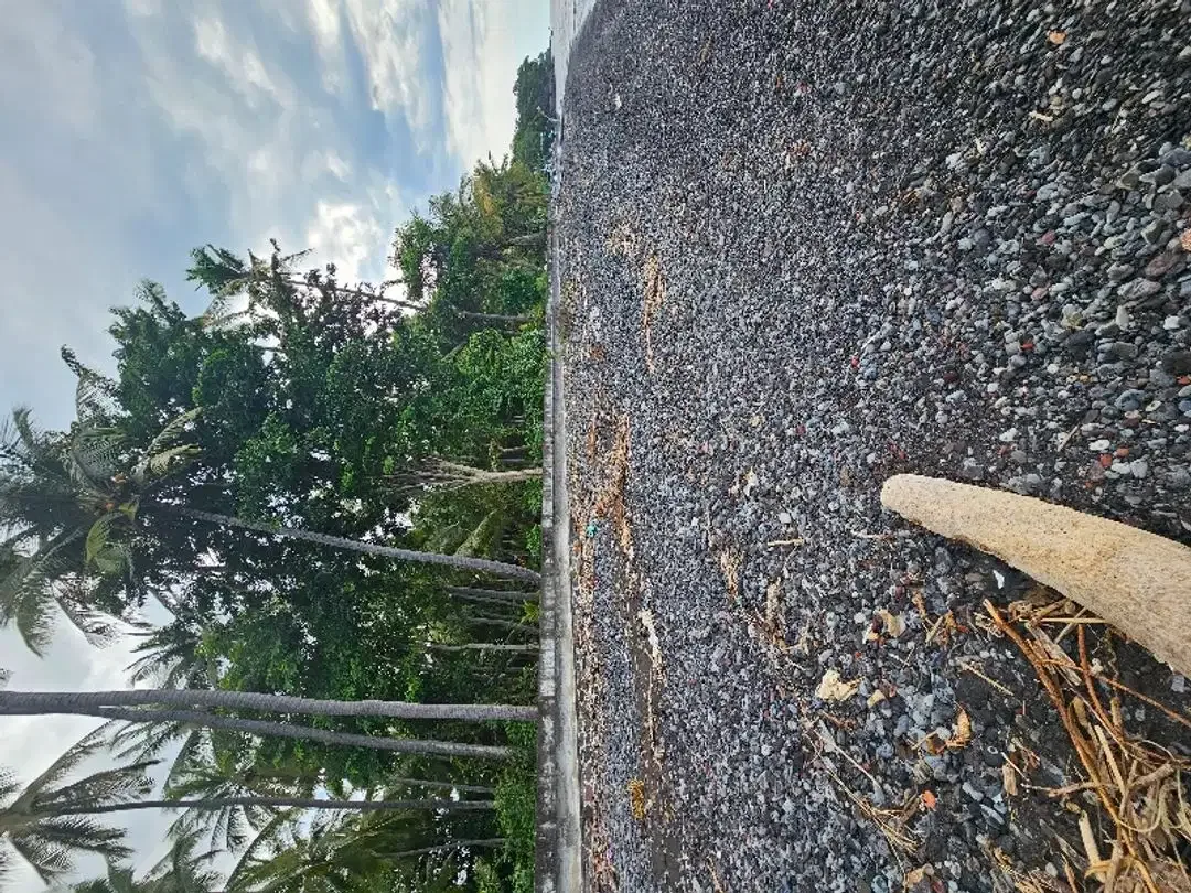 dijual murah tanah pinggir pantai  dekat airport yang akan di bangun - Image 8 of 10