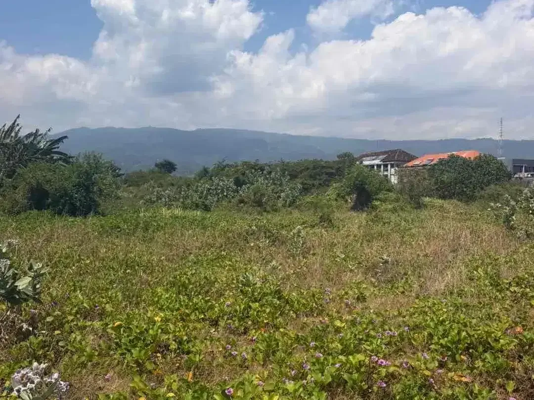 RARE BEACHFRONT LAND FOR SALE – LOVINA, NORTH BALI - Image 4 of 6
