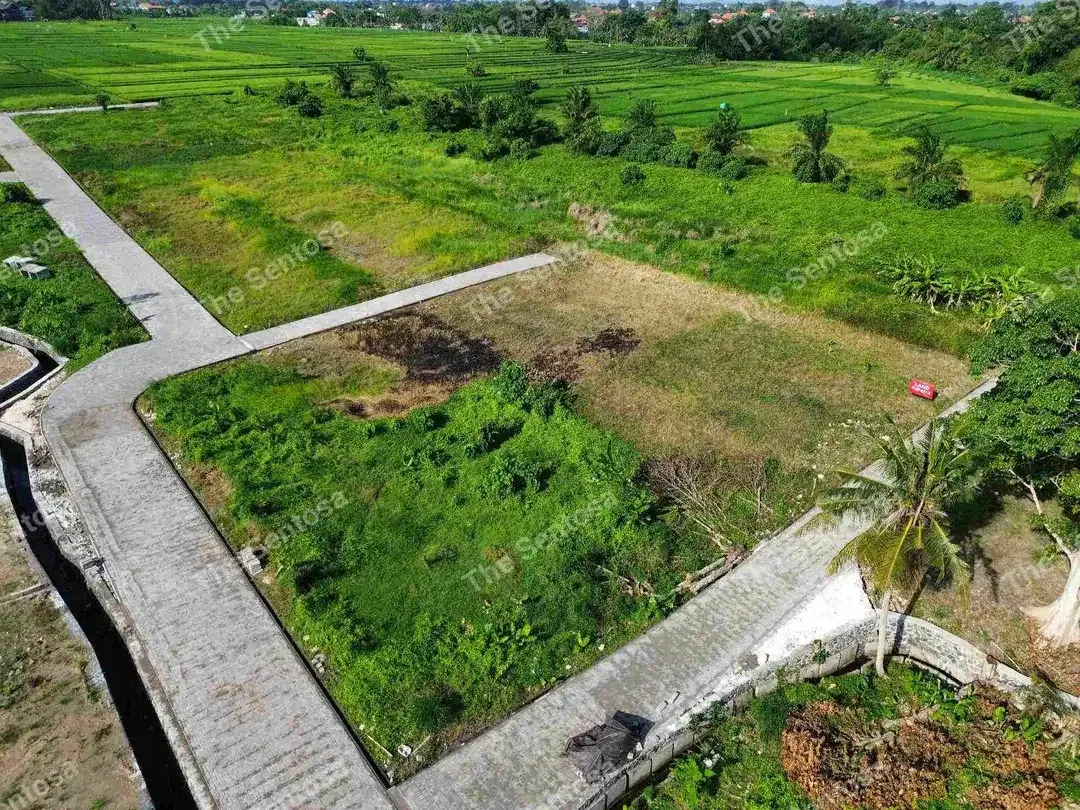 KEDUNGU TANAH PERUNTUKAN VILLA - Image 7 of 10