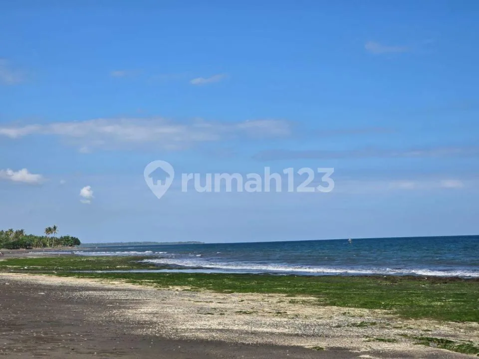 Termurah Tanah Los Pantai Melaya Jembrana Bali - Image 3 of 4