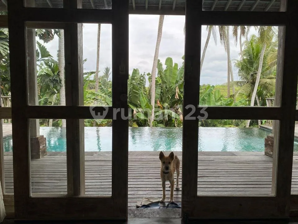 Dijual Villa View Sunset dan Sawah di Pantai Purnama, Gianyar - Image 3 of 4