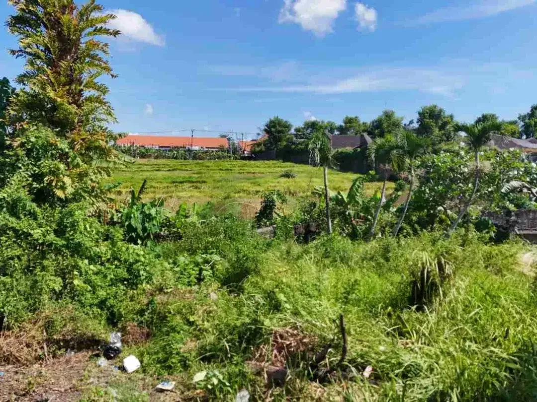 Tanah Komersial Umalas View Sawah Area Villa Premium Kerobokan - Image 3 of 10