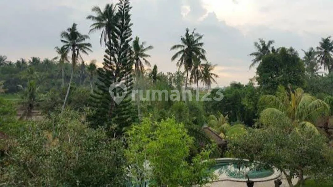 Villa Mewah 6 Unit View Sawah dan River Side Dgn Pool, Singapadu - Image 2 of 4
