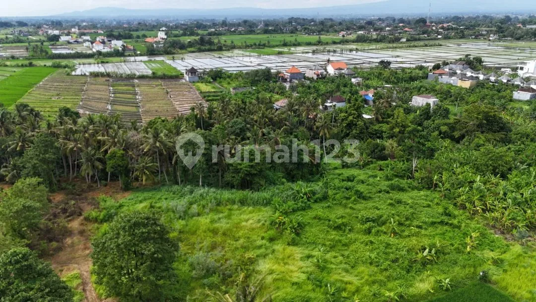 Dijual Cepat Tanah Los Sungai View Sawah di Tanah Lot, Tabanan - Image 4 of 4