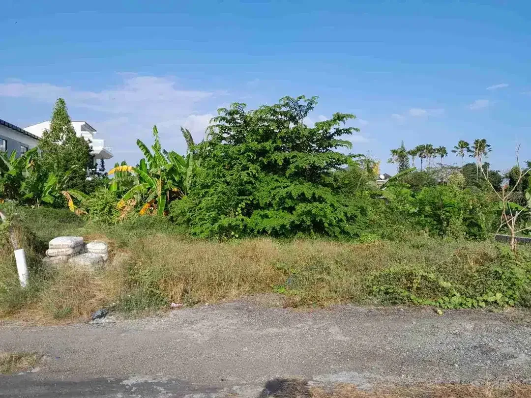 Jual Tanah Luas 1.4are/140m² Zona Pink Lokasi Jl Gungung Salak Kerobokan area Investasi dekat pantai. wd - Image 6 of 8
