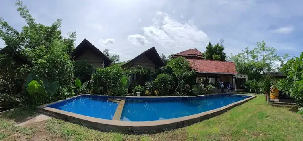VILLA FULLY OPERATED FREEHOLD IN LOVINA BULELENG - Image 2 of 10