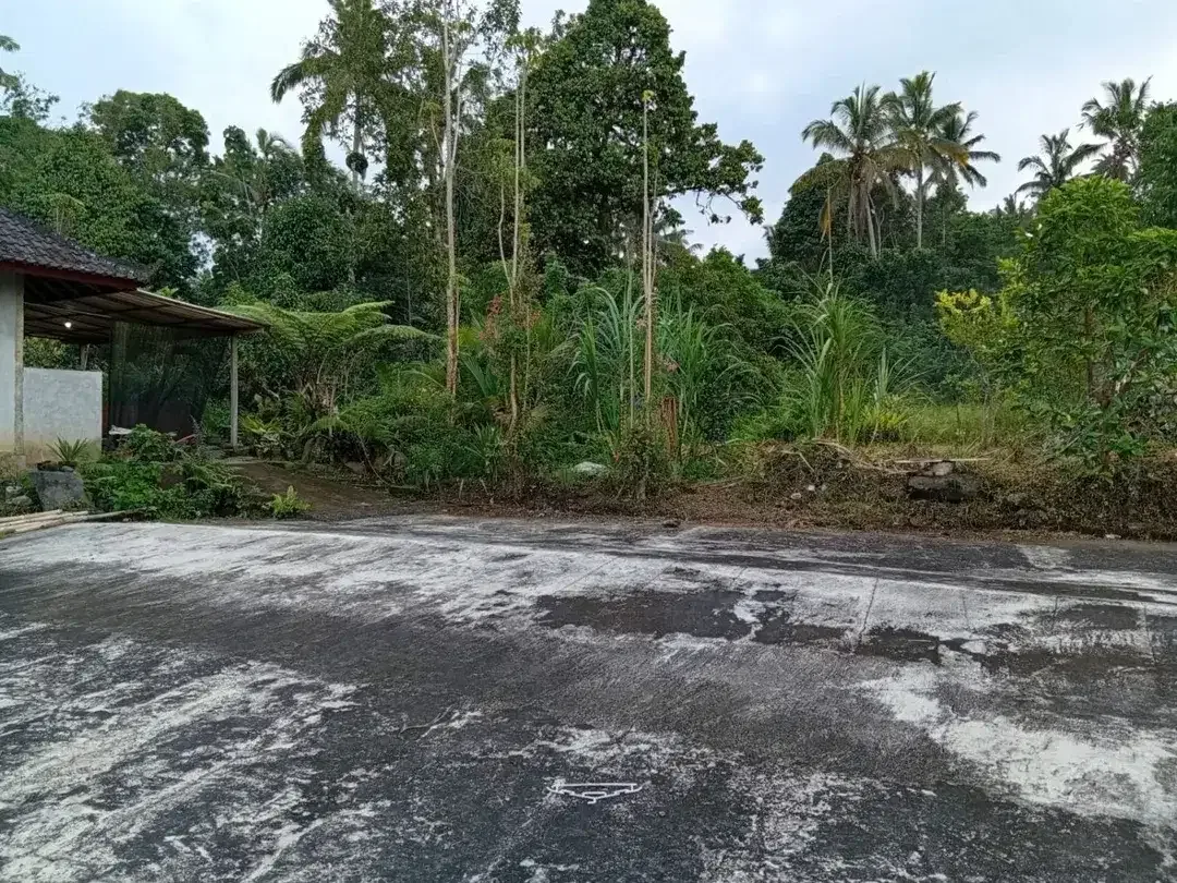 Tanah Riverside 78,5 Are Zona Kuning Dijual di Penebel Tabanan - Image 2 of 4