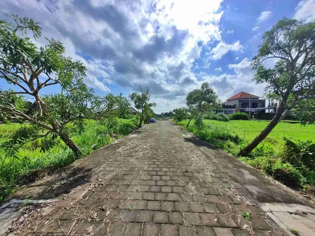 Dijual Tanah Kawasan Pantai, Jalan Pantai Kedungu, Kediri, Tabanan - Image 3 of 5