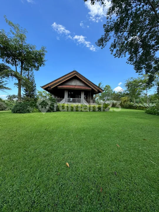 Dijual Tanah + Rumah Kayu Antik Premium Kenderan Ubud View Cantik - Image 4 of 4