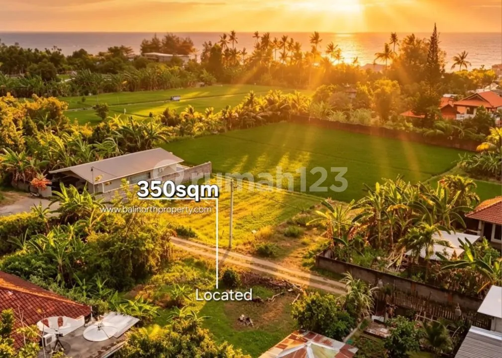 Prime Land Near Beach - Anturan, Lovina With Mountain Views - Image 3 of 4