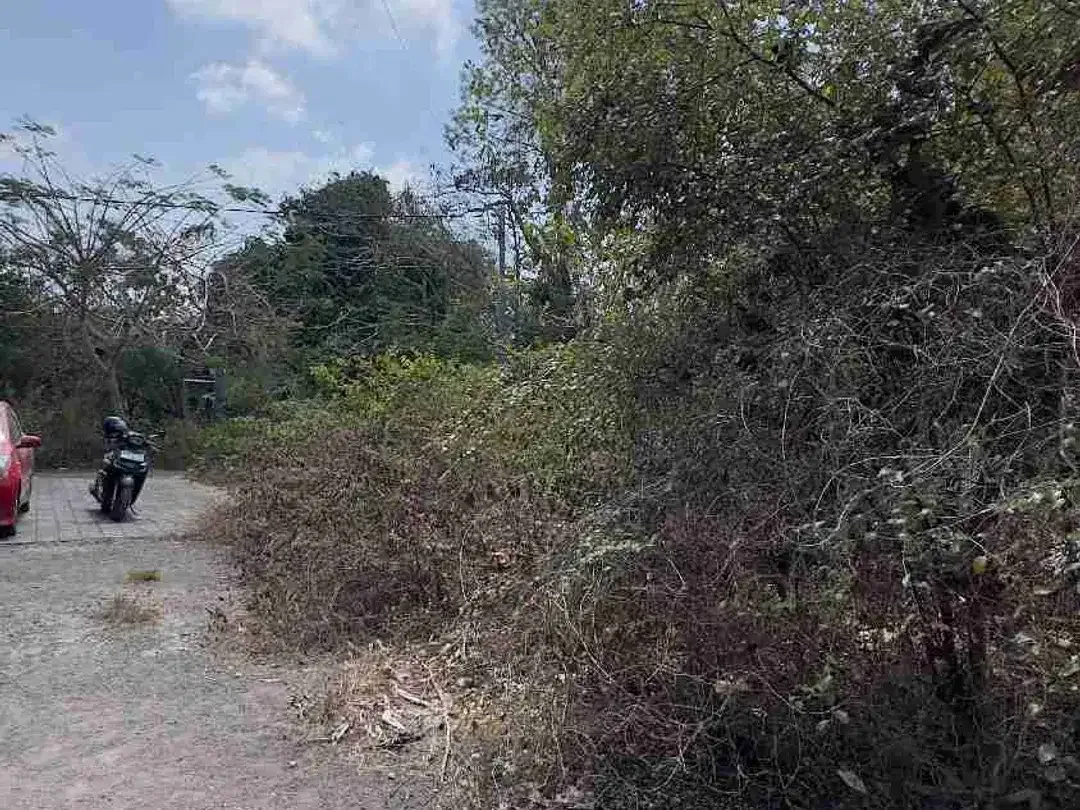 Dijual Tanah 100m2 Ungasan Dekat Melasti - Image 3 of 8