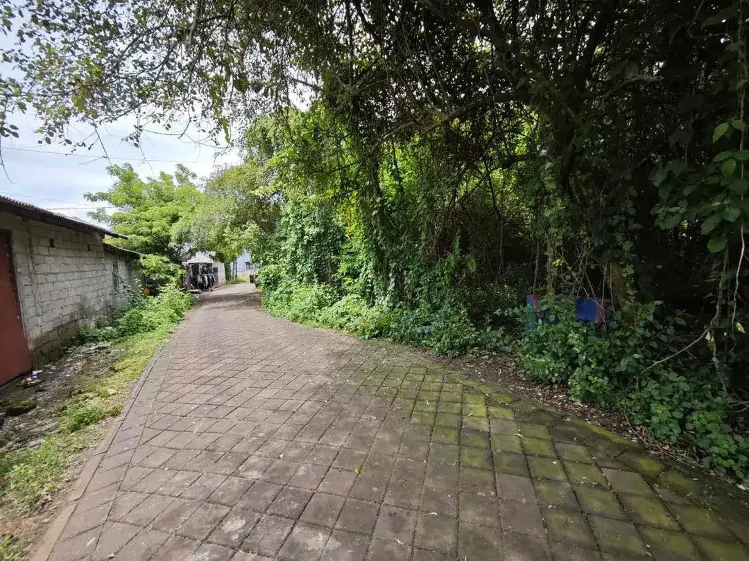 Tanah STRATEGIS Lingkungan Villa Jl Bukit Damai Jimbaran - Image 5 of 8