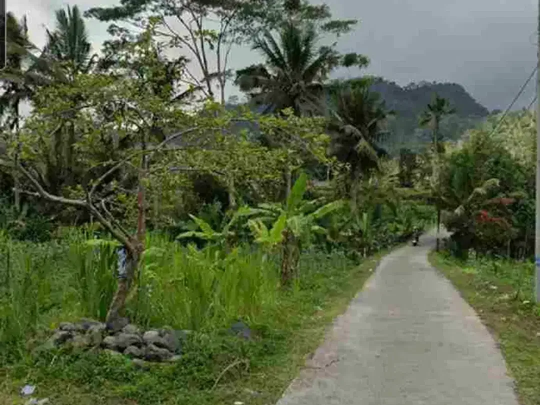 Land 2ha for Sale at Sidemen Traditional Village Bali - Image 8 of 10