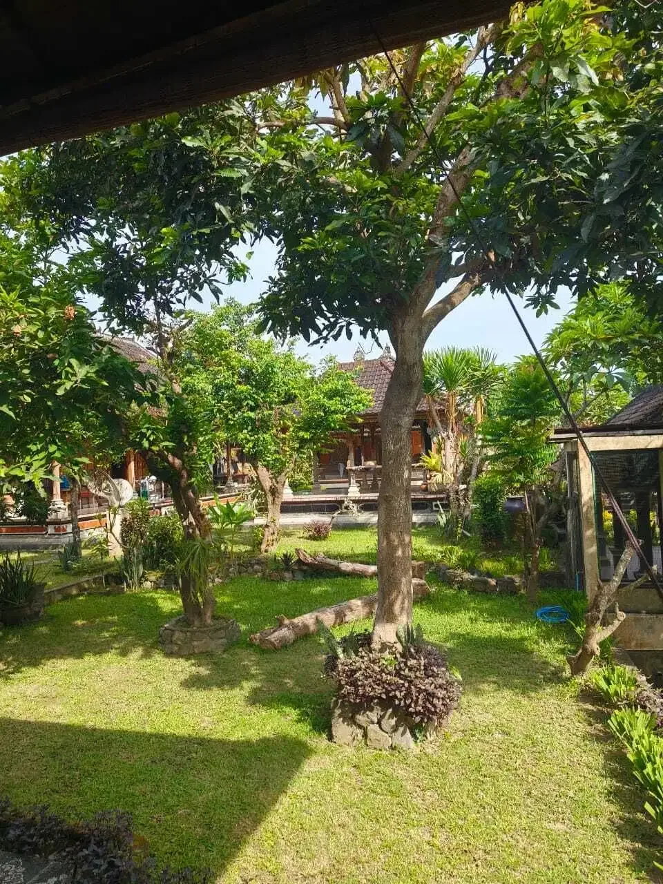 FOR  RENT HUNIAN BALINESE SANGAT LUAS DENGAN KONTUR TANAH 3 STEPPING - Image 6 of 10