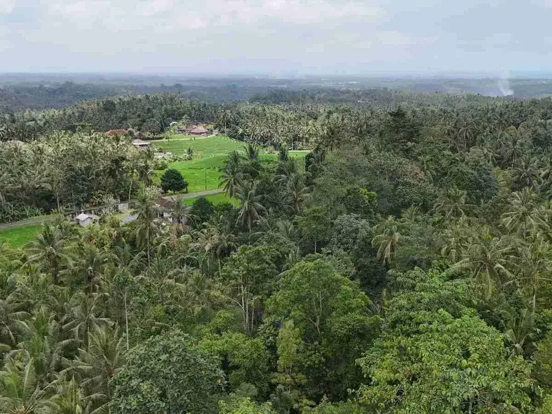 jual tanah di apit dua sungai di desa wisata manikyang, selemadeg tabanan bali. - Image 6 of 10