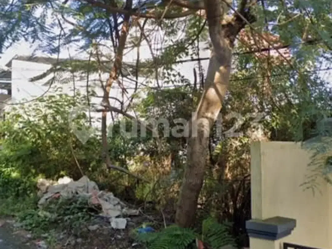 Tanah Premium Pinggir Jalan Nusa Dua Cocok untuk Investasi - Image 4 of 5