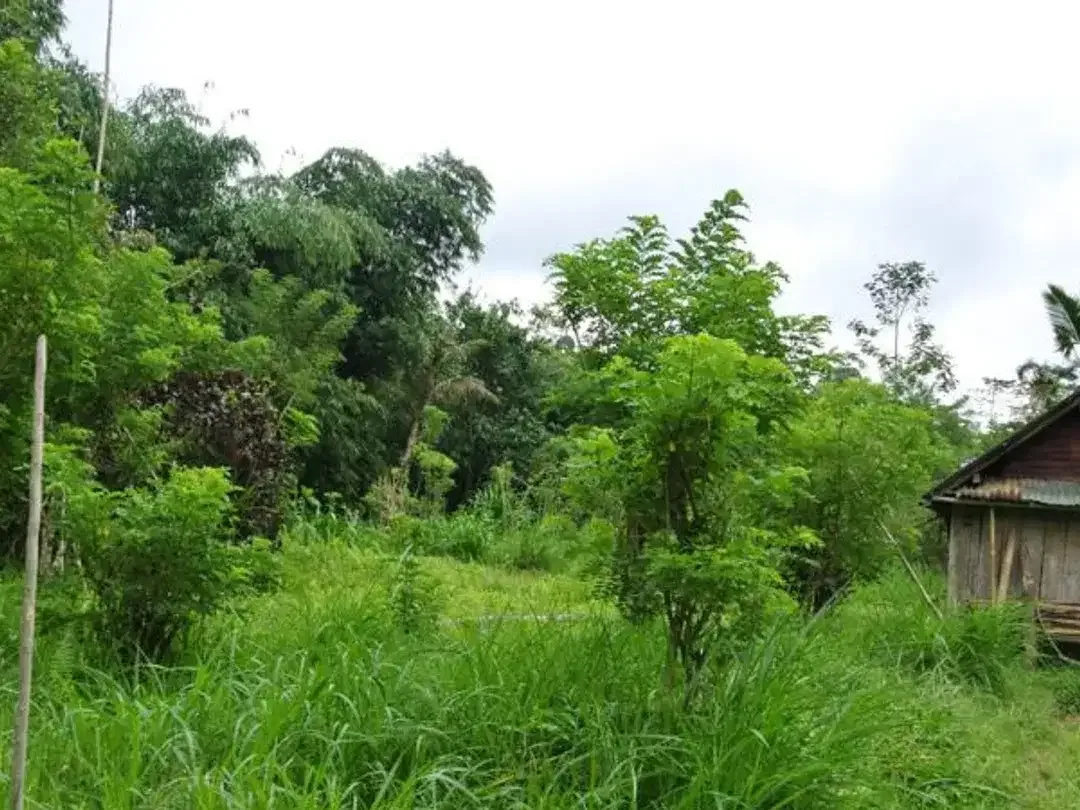 TANAH LOKASI STRATEGIS DI JATILUWIH TABANAN - Image 2 of 5