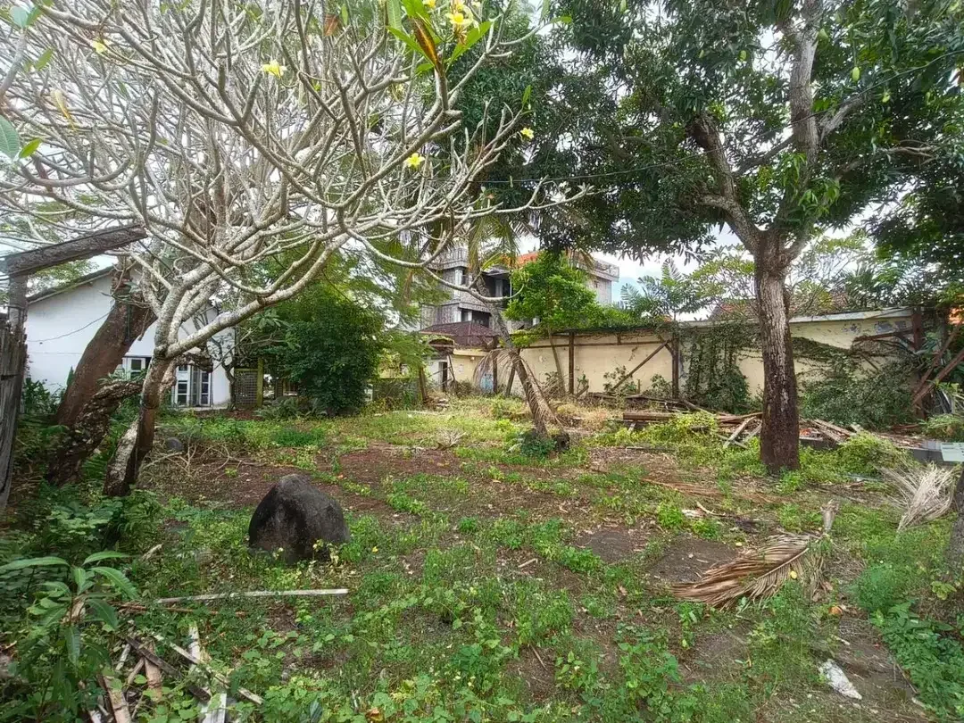 Tanah Lokasi Premium di Jalan Utama Canggu Dekat Pantai Berawa - Image 4 of 6