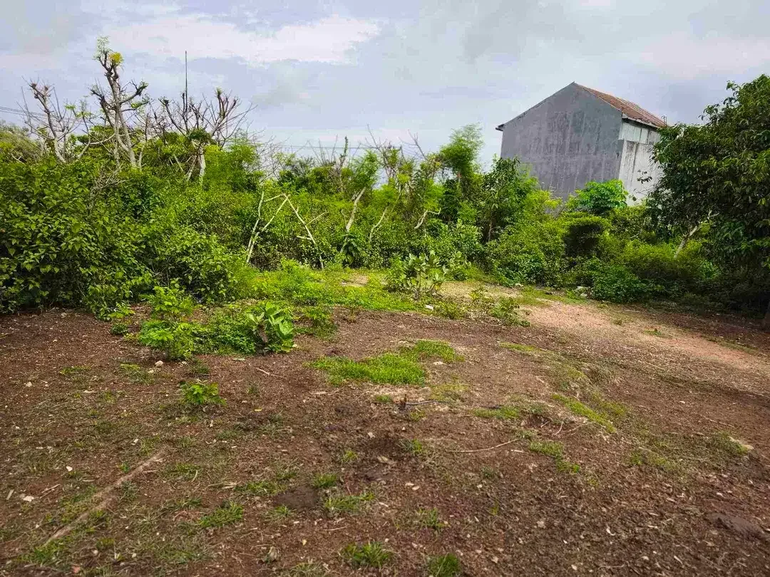 dijual tanah 5 are  harga 500 juta per are Kawasan GWK ungasan Kuta Selatan Badung Bali - Image 9 of 10