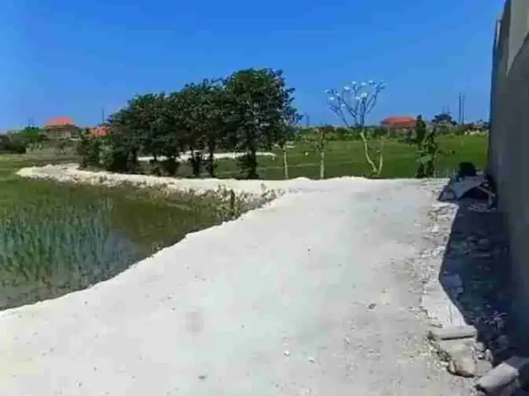 Dijual Tanah Kavling 200 m² di Renon Denpasar, SHM, Lokasi Strategis Dekat Jalan Utama - Image 4 of 6