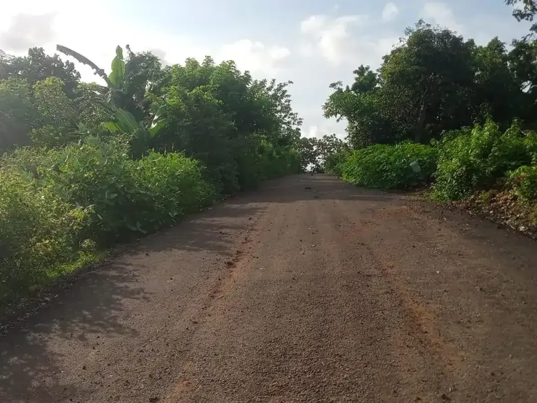 Dijual Tanah Strategis di Kawasan Jimbaran, - Image 2 of 4