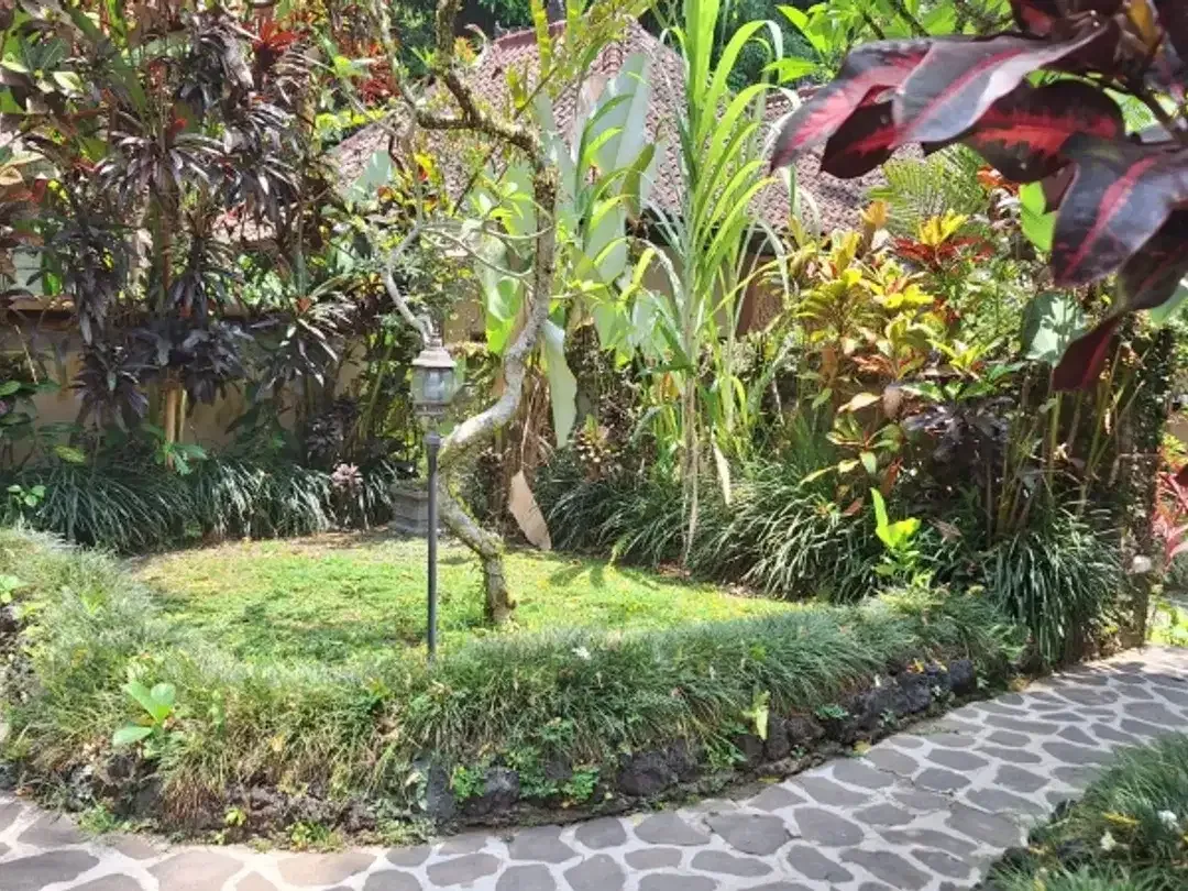 Dijual Cepat Tanah Bonus Bangunan Hotel di Kedewatan Ubud - Image 4 of 10