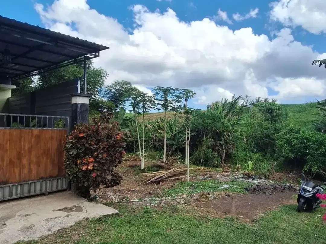 DIJUAL TANAH PERUMAHAN 165M2 JL. BATUKARU WANASARI TABANAN BALI - Image 1 of 7