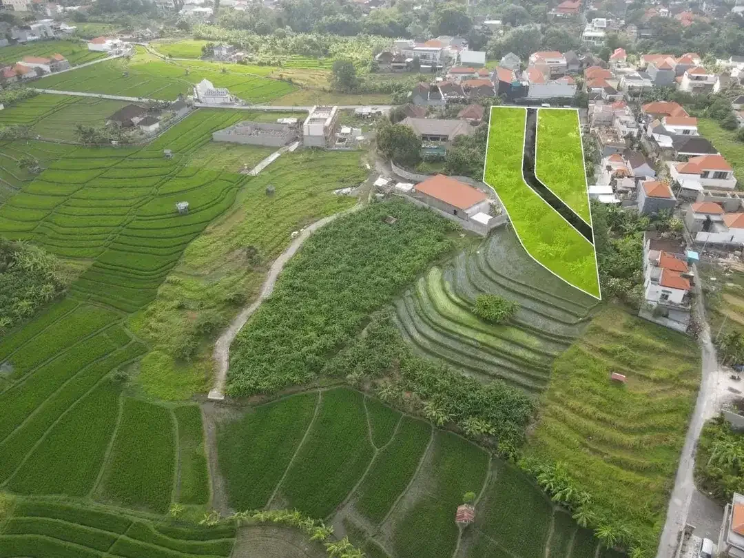 DIJUAL TANAH KAVLING MURAH DI LOKASI STRATEGIS KULIBUL TIBUBENENG - Image 9 of 10
