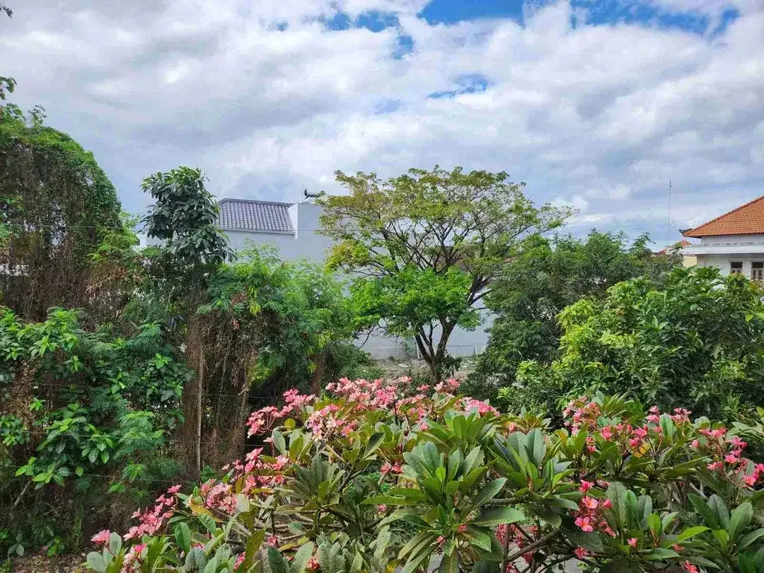Dijual Rumah Luas 5 KT di Gatot Subroto Barat Denpasar – 3,7M - Image 9 of 10