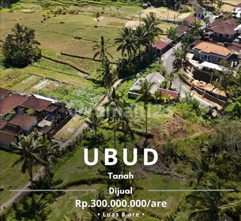 Tanah Ubud Tegalalang Samping Sungai Zona Perdagangan - Image 2 of 4