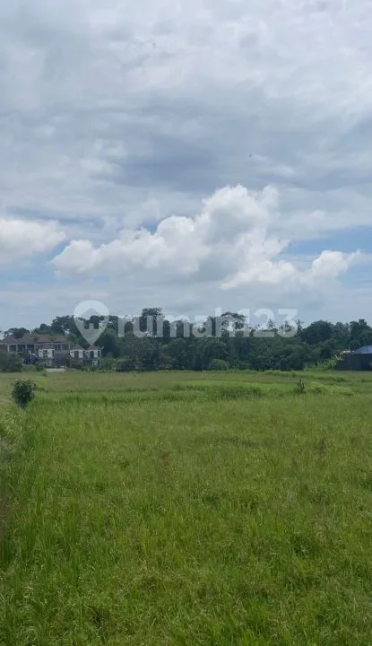 Tanah di Jalan Pantai Kedungu, Desa Belalang Tabanan 2236 SHM MÂ² - Image 2 of 4