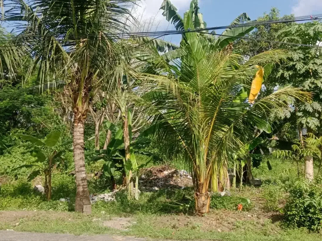 Strategic Land in Desa Wisata Kaba-Kaba For Sale - Image 5 of 10
